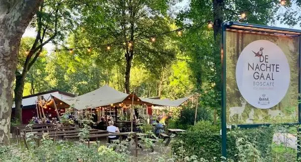 Boscafé de Nachtegaal terras tussen de bomen