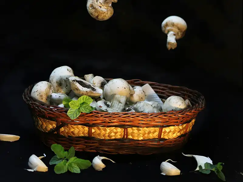 Teamuitje koken met paddenstoelen