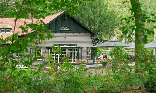Brasserie Steinerbos in het bos