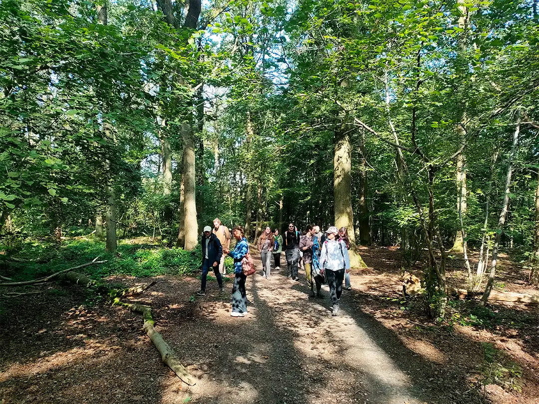 Groep wandelaars in een zonnig bos tijdens een Bosgenoten teamuitje